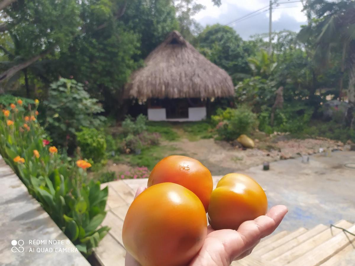 Los Versos De Zaira San Onofre Ngoại thất bức ảnh