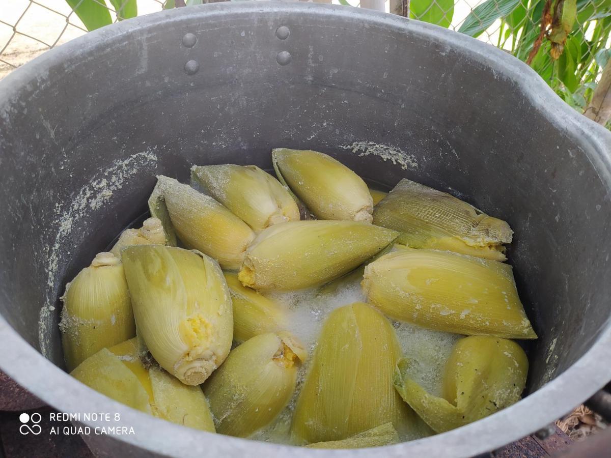 Los Versos De Zaira San Onofre Ngoại thất bức ảnh